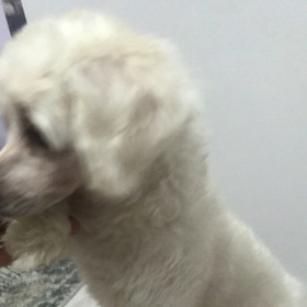 erenymm