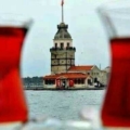 cilginsinoplu