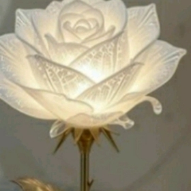 Nurgüluznun