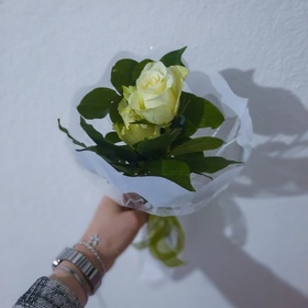dilek_cmgls