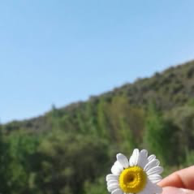 lfkflfklfkfşdls