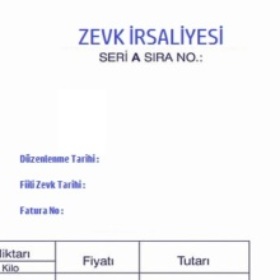 zevkirsaliyesi