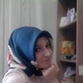 haylazdobra