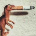 Bor_2023