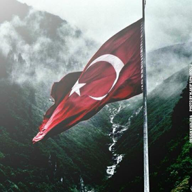 Bursabeyi