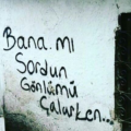 melisdd