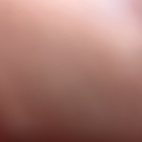 Boran_00