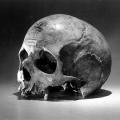 skull12