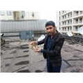 ozgurmuradi