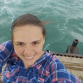 Vikusy