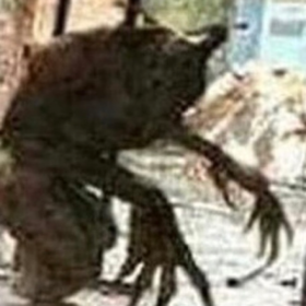 _-Apyr_-