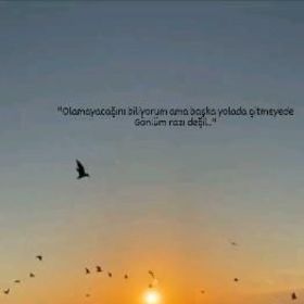4242Musti4242