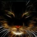 yemisim_nicki