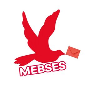 MEBSES