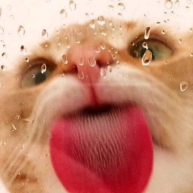 onrblz