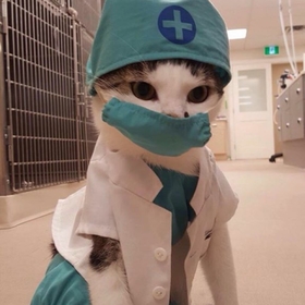 Veterinarymed