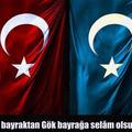 Çüküvera