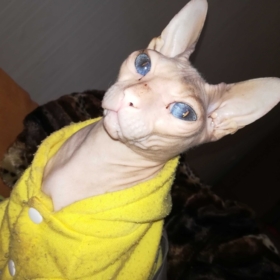 _zizi_4_