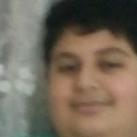 zararsıztilki