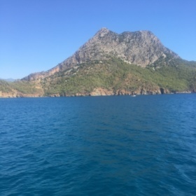 Şehzade81