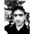 Yırtıcı_kuş