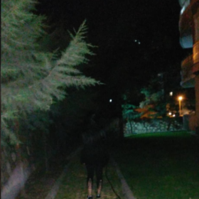 Cerenimo00