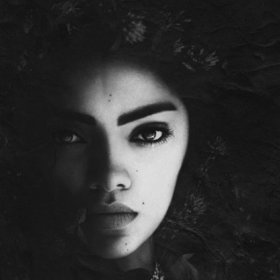 alis_volat_propriis
