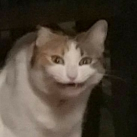 vdhsisjs