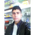 engin11