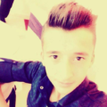 ertansylp