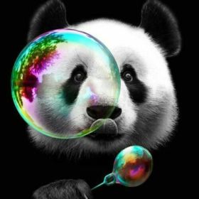 TeKPaNDa