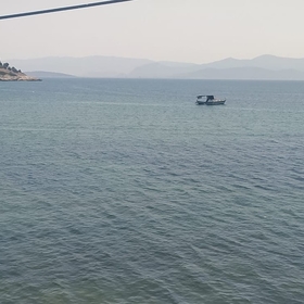 cbnyldzııı