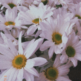 Annoria