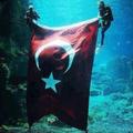 Deniz2015