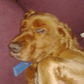 jebbb