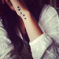 dream_95