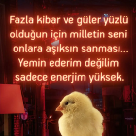 babygulbjk