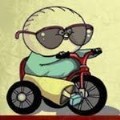 Docentpanda