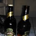 terzi44