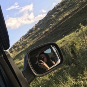 1siiştee