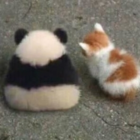 Ruhsuz_Panda