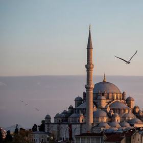 Birvıjıjıjı