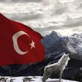 Ülkücü37