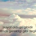 ysnbyk23