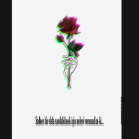 Adax_95