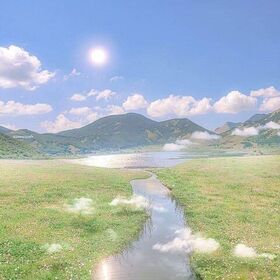 felsefisorgulayıcı