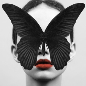 Black-Butterfly