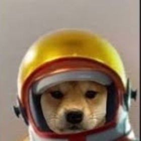 ReTriSZ