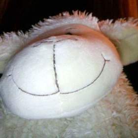 Sidebunny