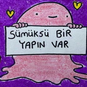 sümüksübiryapınvar